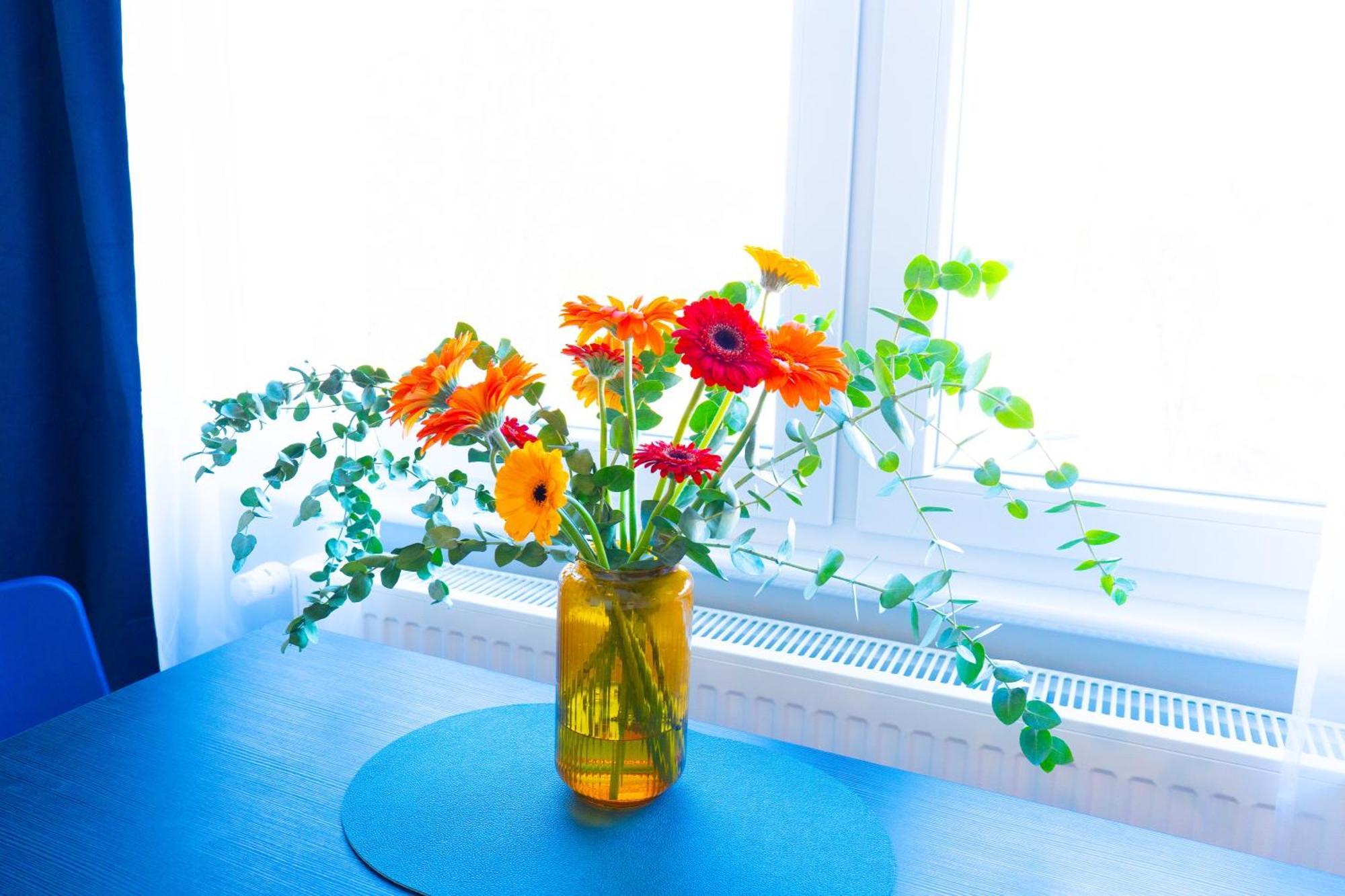 Betterbeds Gelsenkirchen Apartment Екстериор снимка